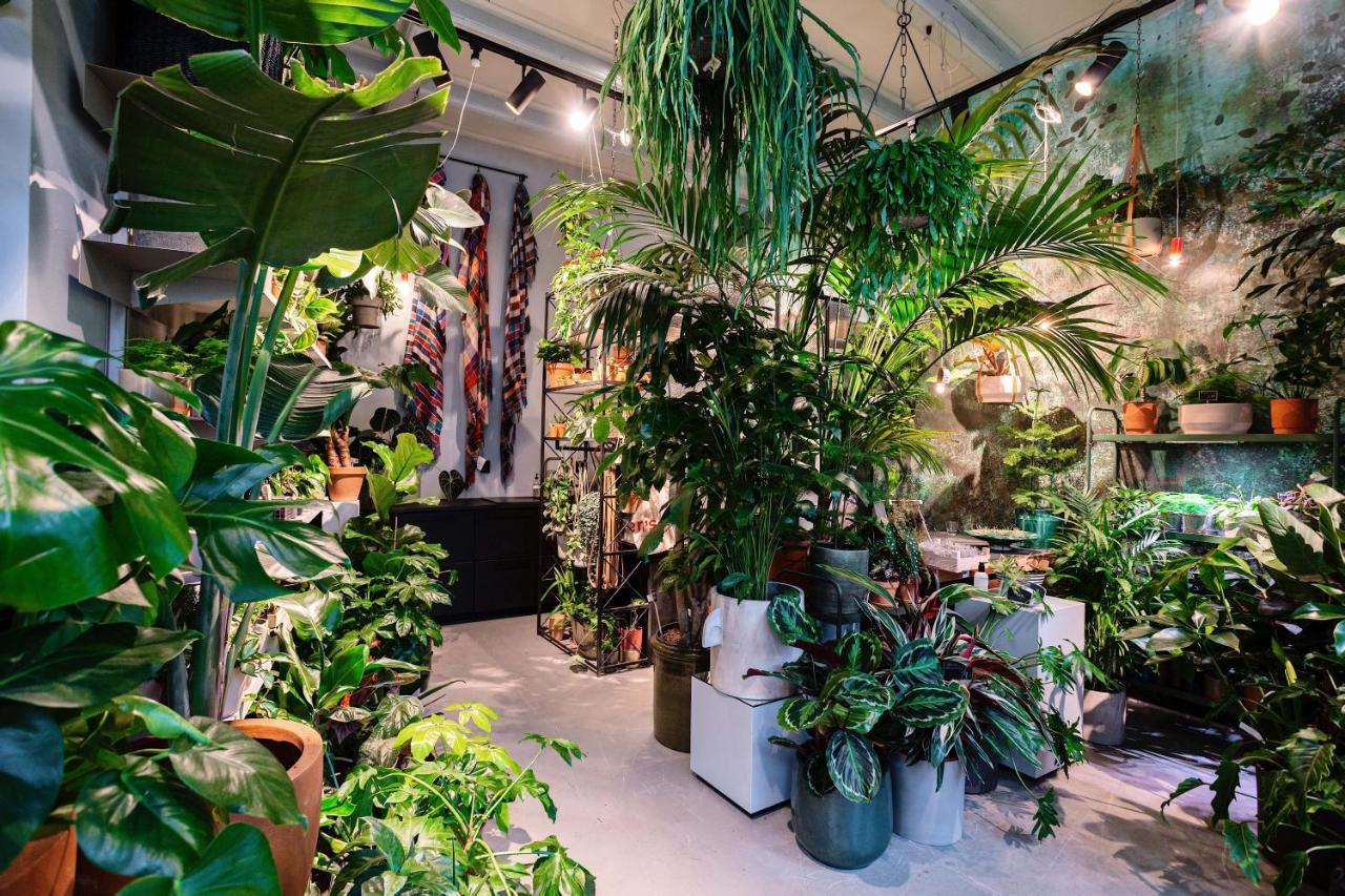 Daen'S Greenhouse Утрехт Екстериор снимка